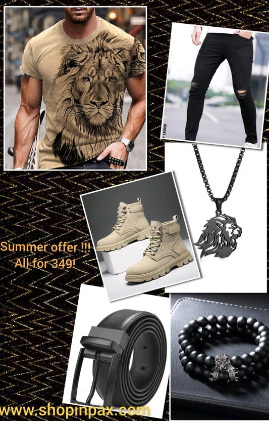 Brown LION SET