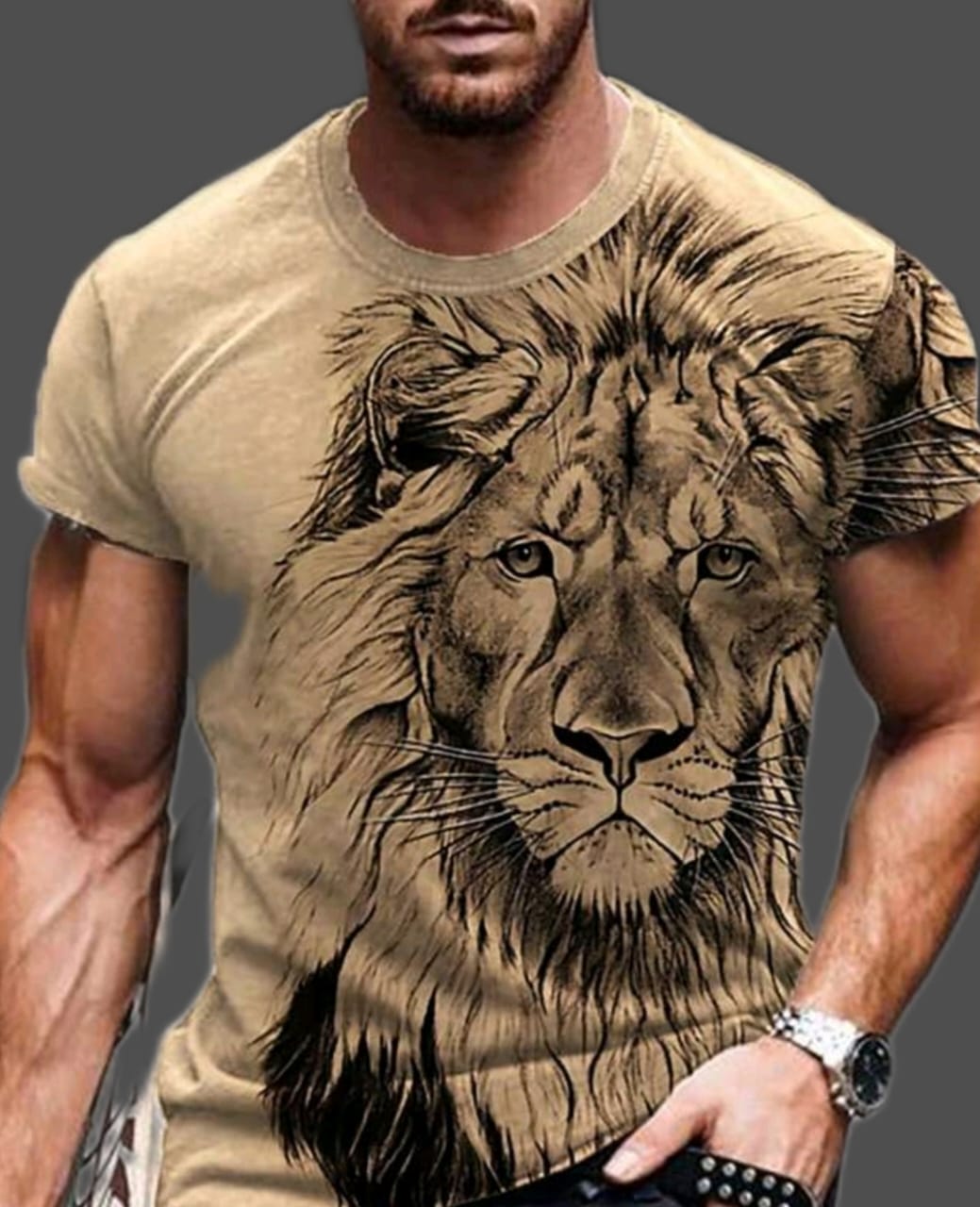 Brown LION SET